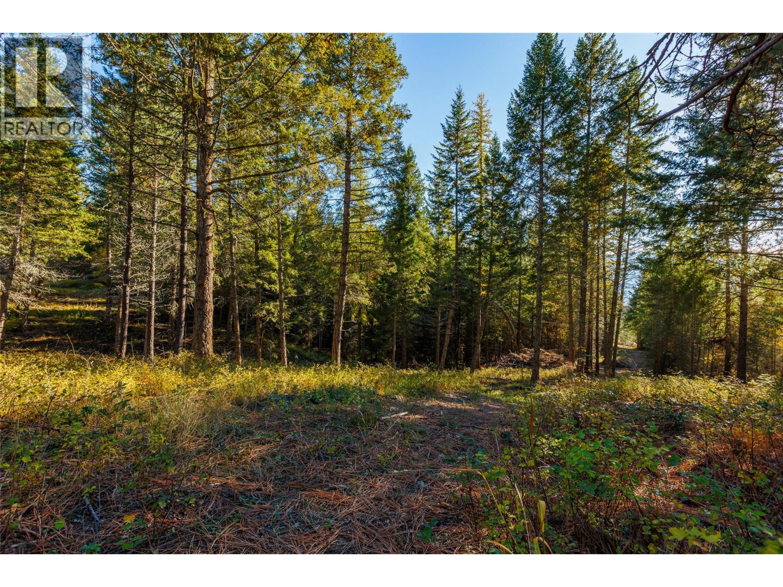 Lot 75 7th Street, Creston, British Columbia V0B 1G2 - Photo 9 - 10366182