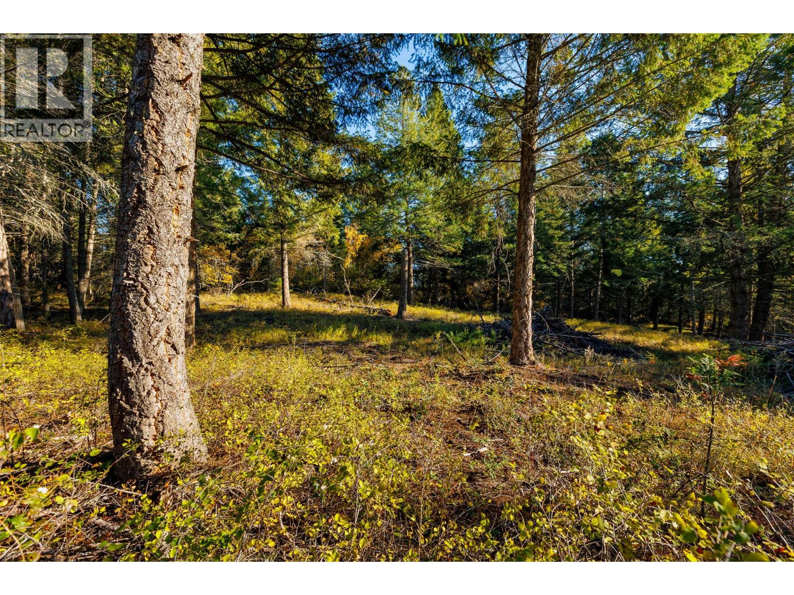 Lot 75 7th Street, Creston, British Columbia V0B 1G2 - Photo 16 - 10366182