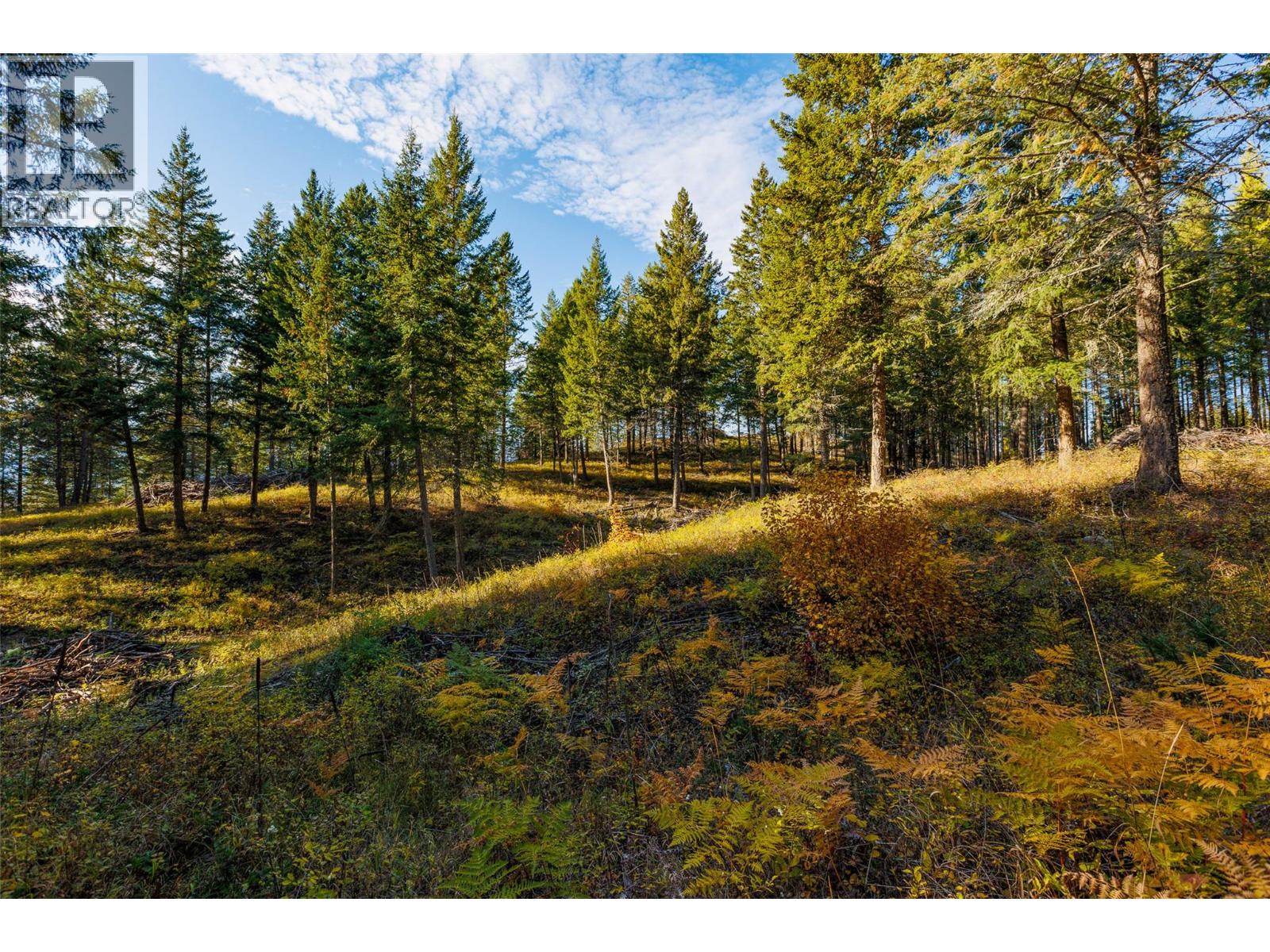Lot 75 7th Street, Creston, British Columbia V0B 1G2 - Photo 19 - 10366182