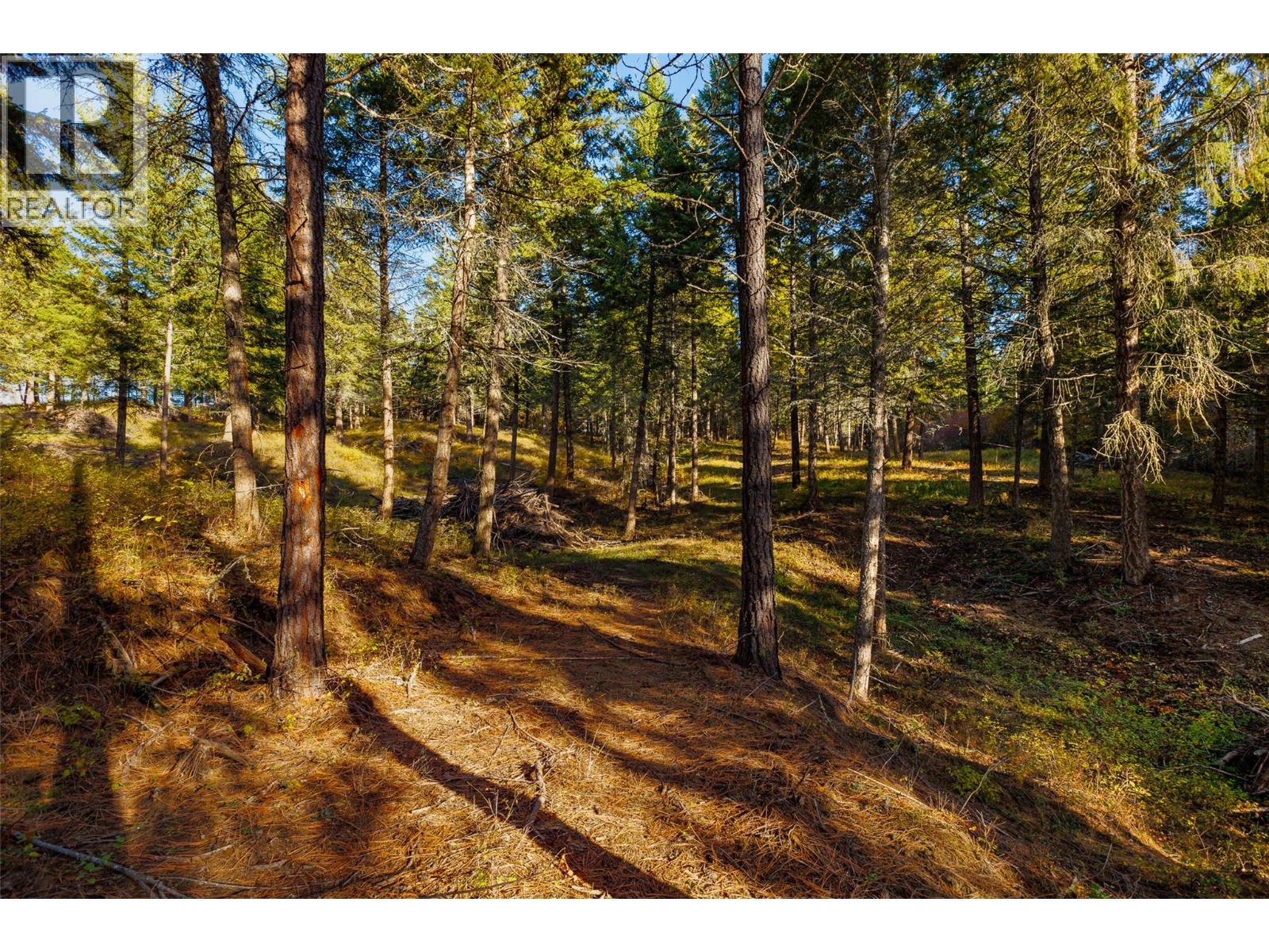 Lot 75 7th Street, Creston, British Columbia V0B 1G2 - Photo 20 - 10366182