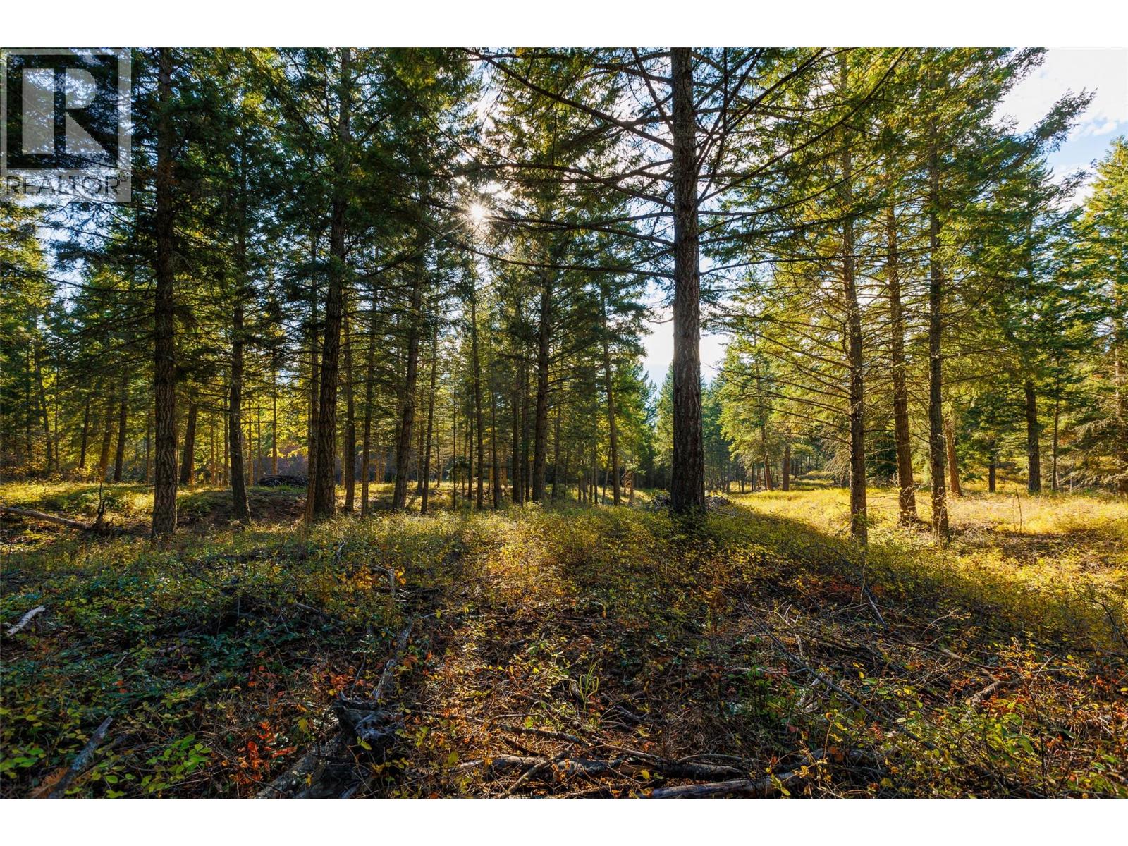 Lot 75 7th Street, Creston, British Columbia V0B 1G2 - Photo 18 - 10366182