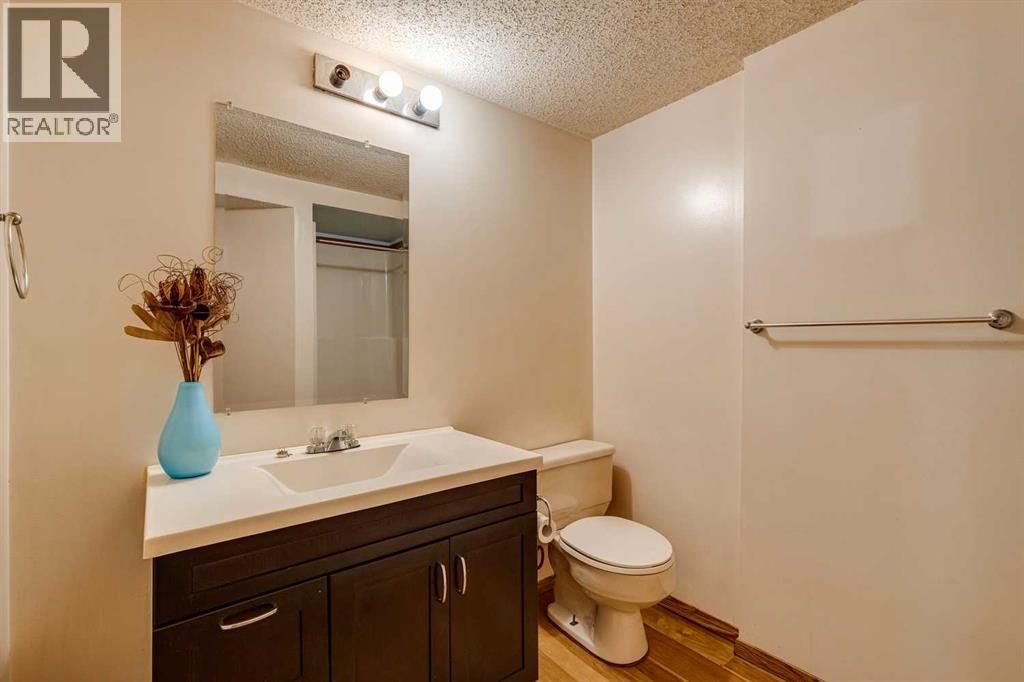 8 Mist Road, High River, Alberta  T1V 1C4 - Photo 26 - A2264464