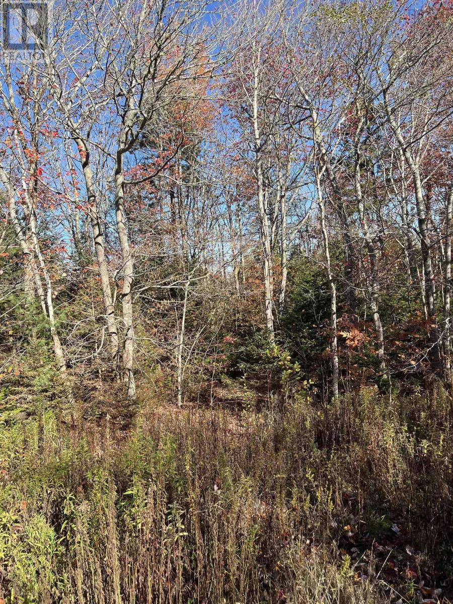 1496 Hampton Mountain Road, Hampton, Nova Scotia  B0S 1L0 - Photo 25 - 202525772