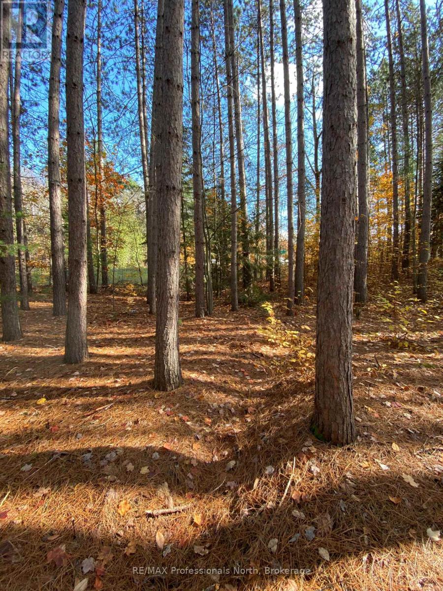 0 MAEBAR ROAD, Minden Hills, Ontario