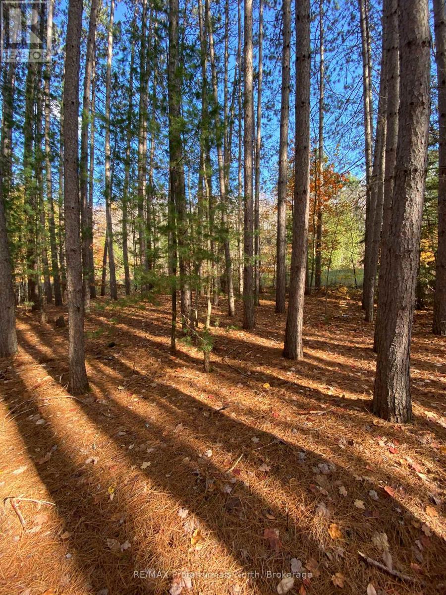 0 Maebar Road, Minden Hills, Ontario  K0M 2K0 - Photo 2 - X12481493