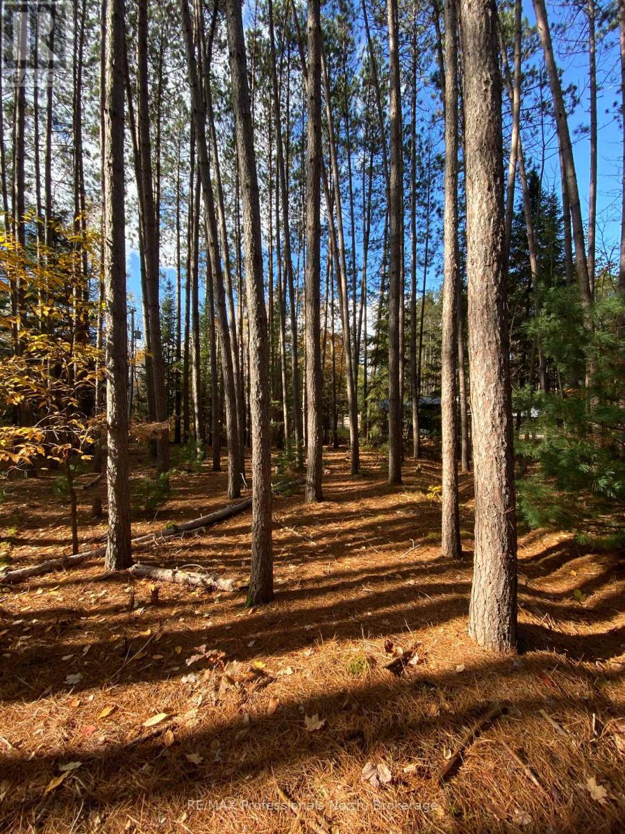 0 Maebar Road, Minden Hills, Ontario  K0M 2K0 - Photo 3 - X12481493