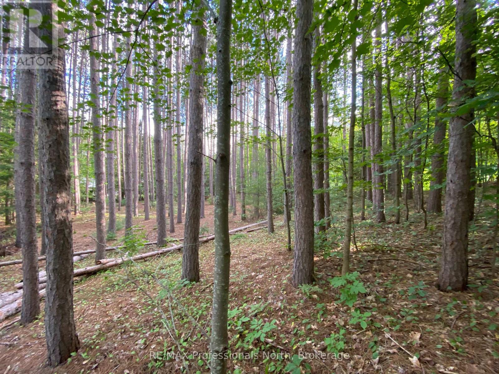 0 Maebar Road, Minden Hills, Ontario  K0M 2K0 - Photo 6 - X12481493