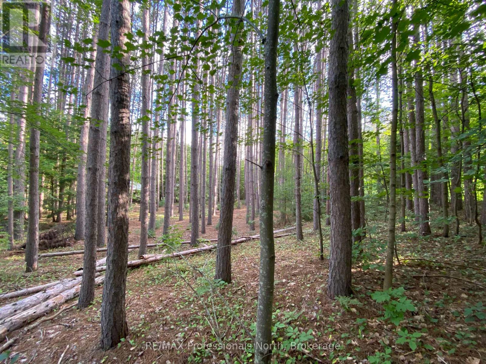 0 Maebar Road, Minden Hills, Ontario  K0M 2K0 - Photo 7 - X12481493
