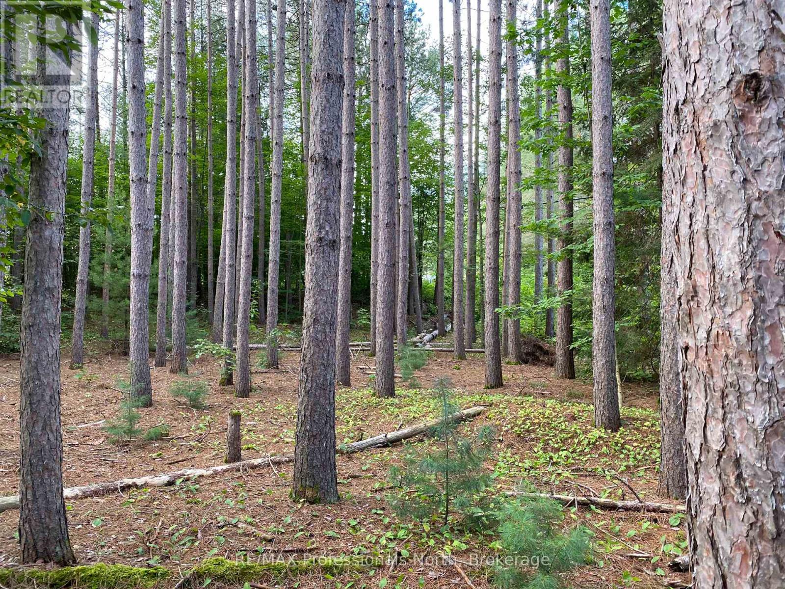 0 Maebar Road, Minden Hills, Ontario  K0M 2K0 - Photo 8 - X12481493