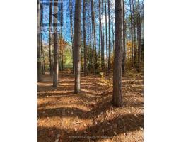 0 MAEBAR ROAD, minden hills (minden), Ontario