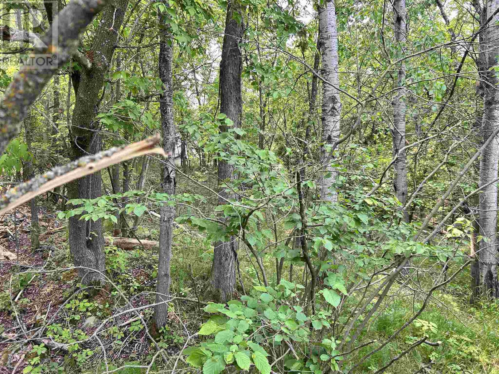 0 Portage St, Kenora, Ontario P0X 1C0 - Photo 9 - TB250032