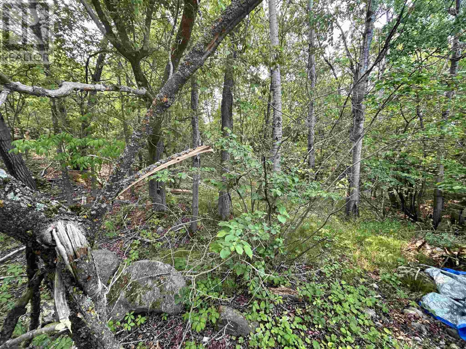 0 Portage St, Kenora, Ontario P0X 1C0 - Photo 5 - TB250032