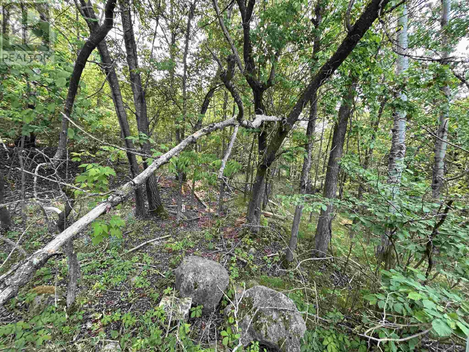 0 Portage St, Kenora, Ontario P0X 1C0 - Photo 6 - TB250032