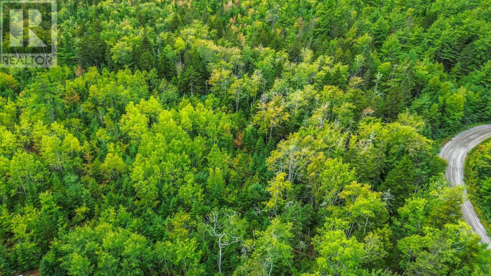 Lot P-5-3 Spruce Drive, Aylesford Lake, Nova Scotia  B4N 3V8 - Photo 4 - 202524445