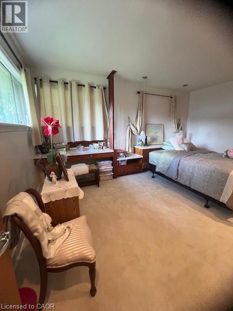 132 Hillcrest Avenue, Flamborough, Ontario  L9H 4X8 - Photo 23 - 40778719