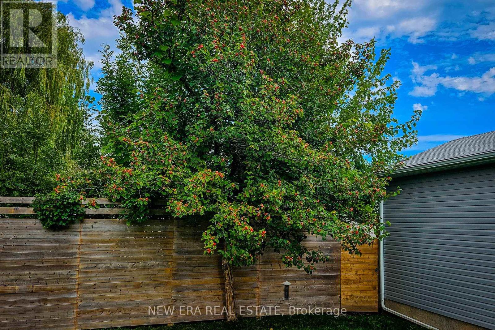 4274 Sixth Avenue, Niagara Falls, Ontario  L2E 4S8 - Photo 34 - X12481435
