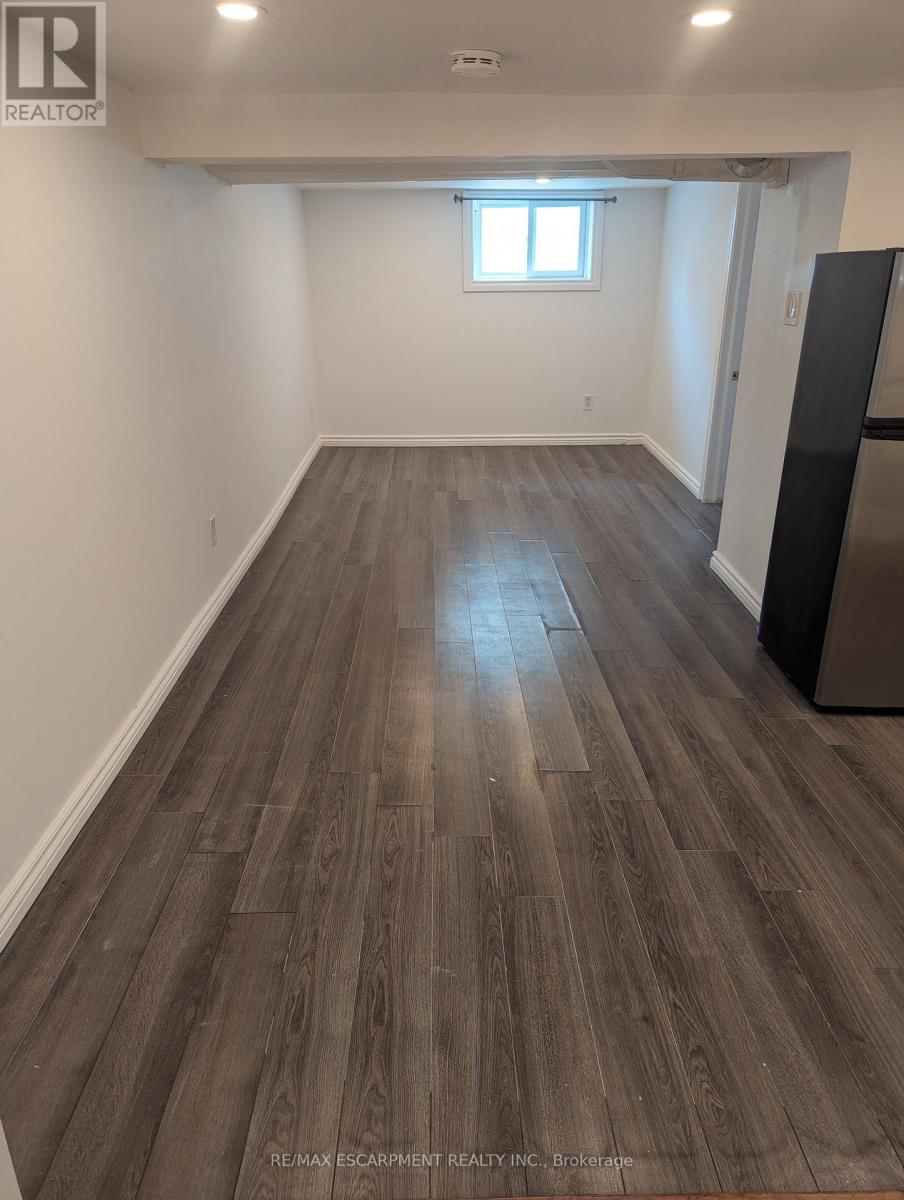 Lower - 255 Wallace Avenue S, Welland, Ontario  N0A 1L0 - Photo 5 - X12481507