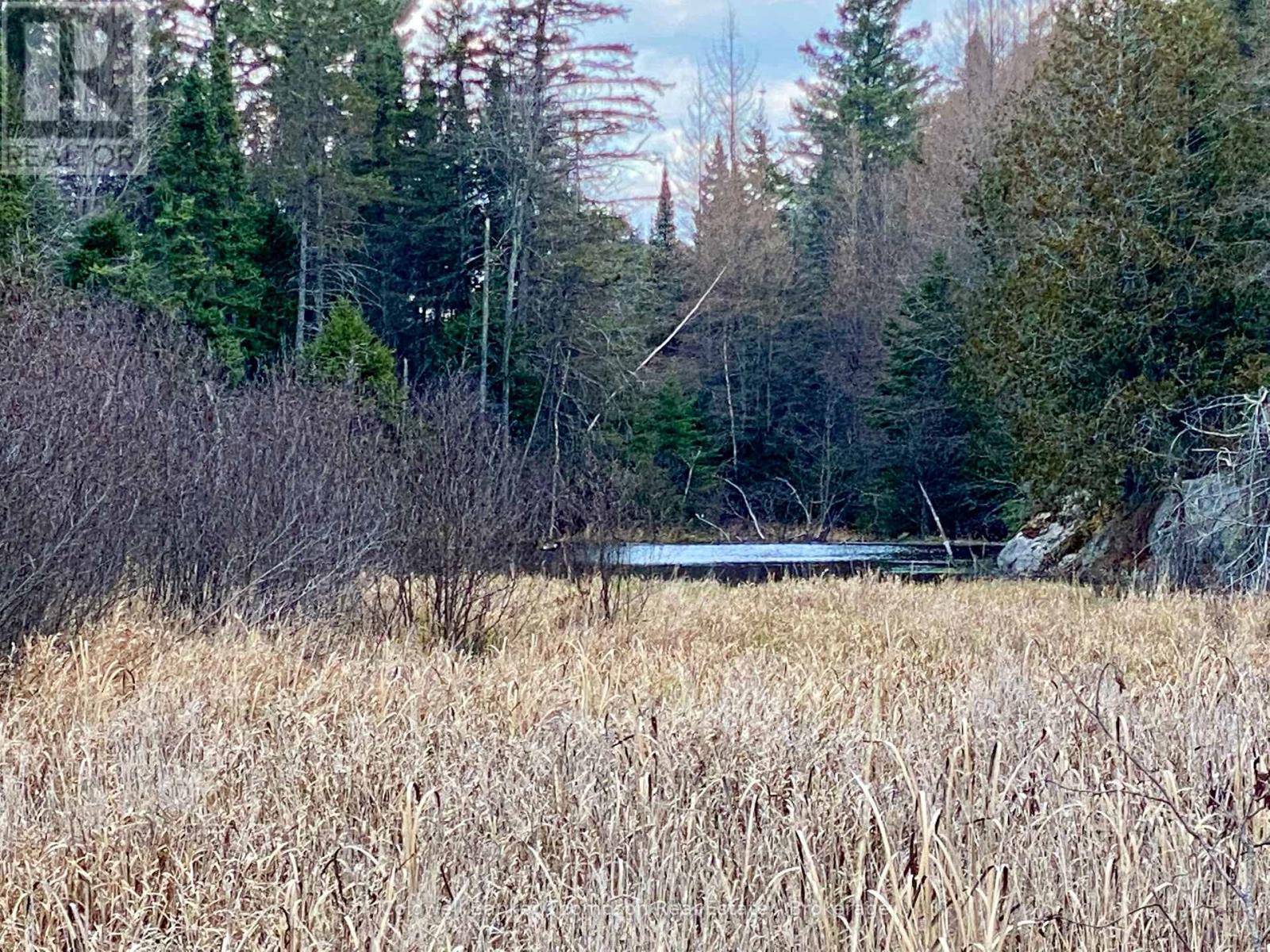 Lot 0-B Legrou's Lake Road, Parry Sound Remote Area, Ontario  P0H 1A0 - Photo 2 - X12481597
