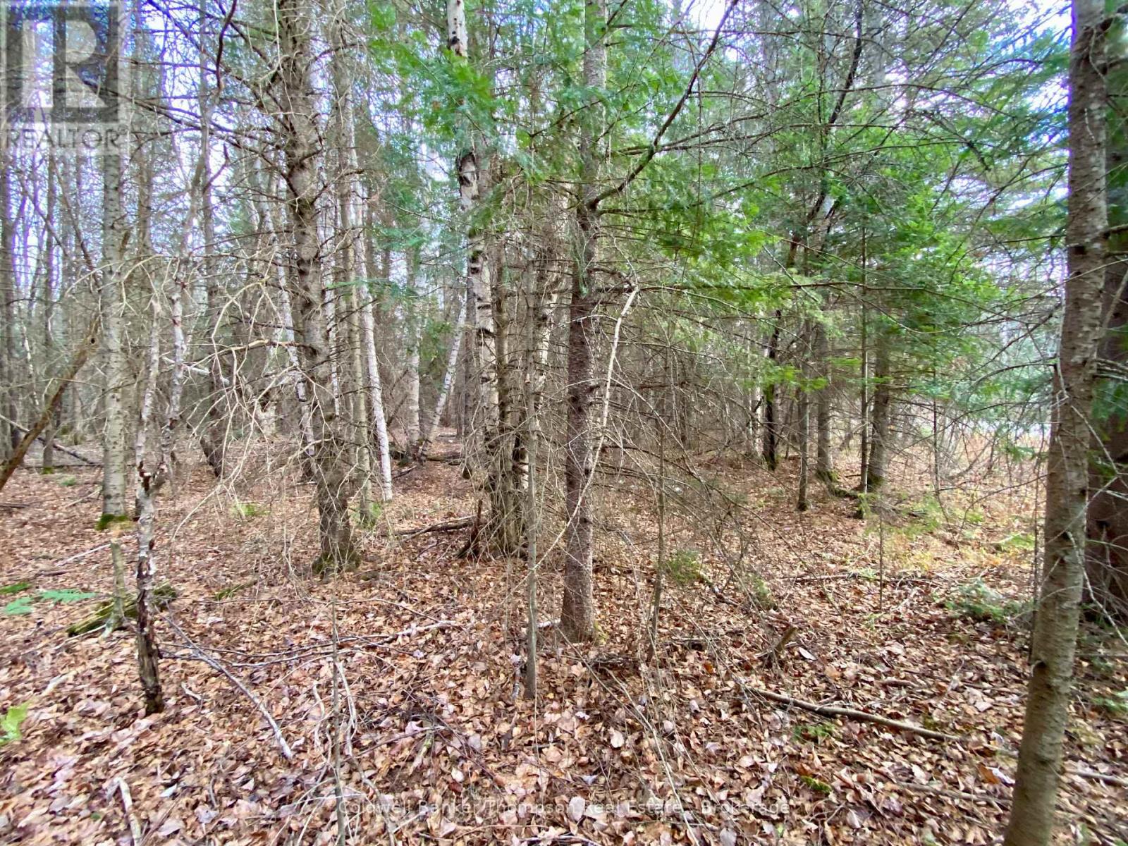 Lot 0-B Legrou's Lake Road, Parry Sound Remote Area, Ontario  P0H 1A0 - Photo 5 - X12481597
