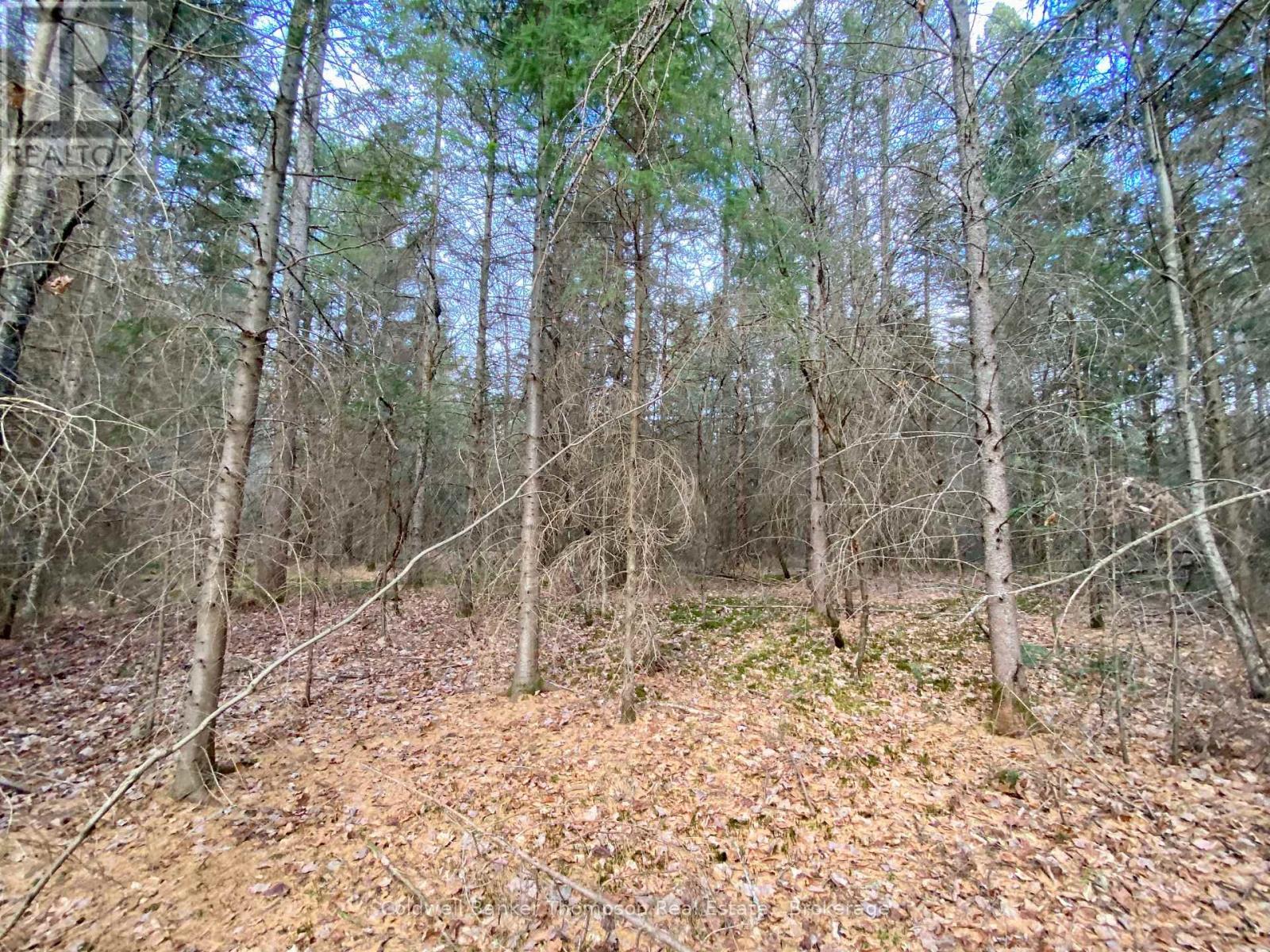 Lot 0-B Legrou's Lake Road, Parry Sound Remote Area, Ontario  P0H 1A0 - Photo 6 - X12481597