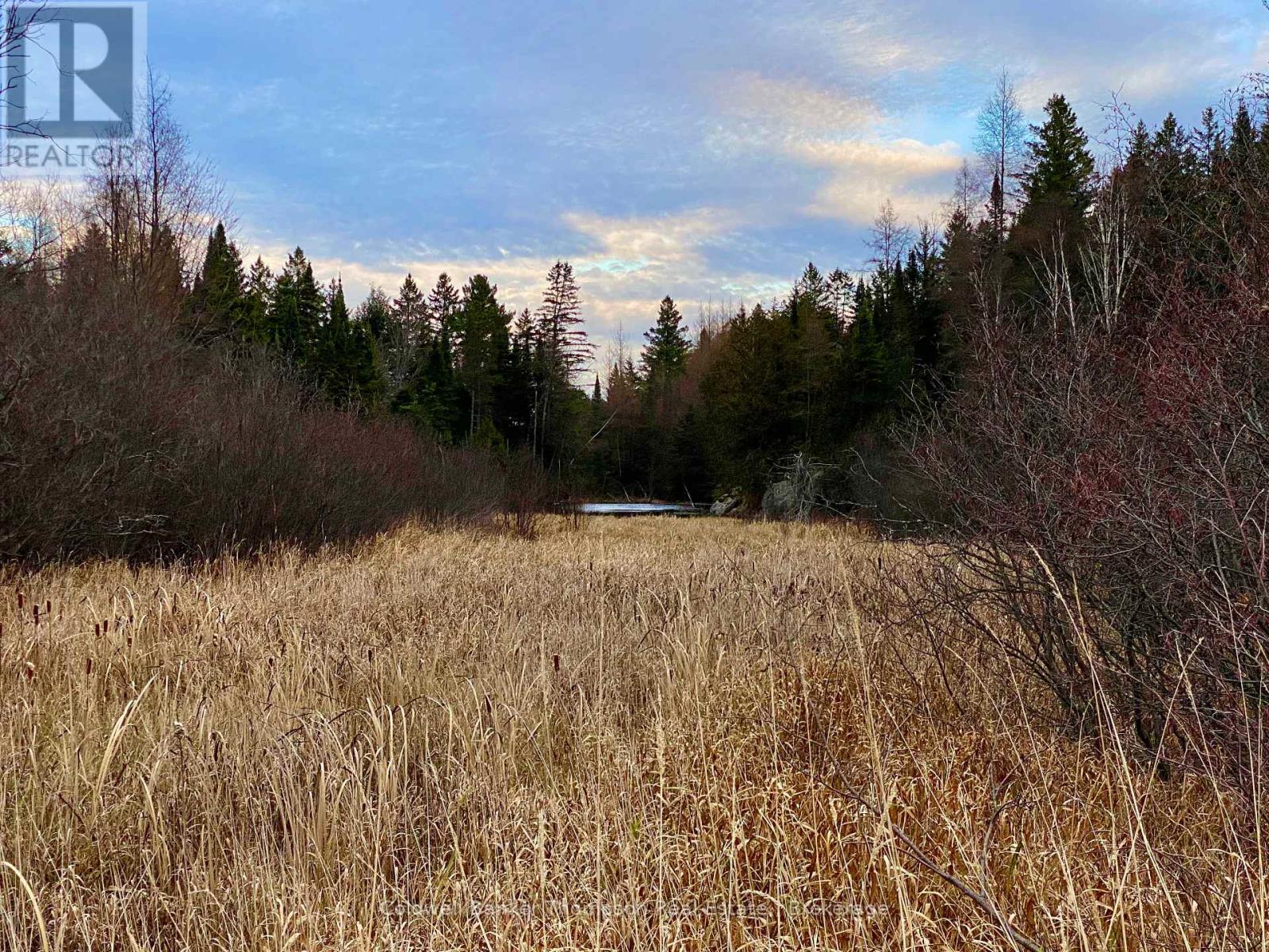 Lot 0-B Legrou's Lake Road, Parry Sound Remote Area, Ontario  P0H 1A0 - Photo 7 - X12481597
