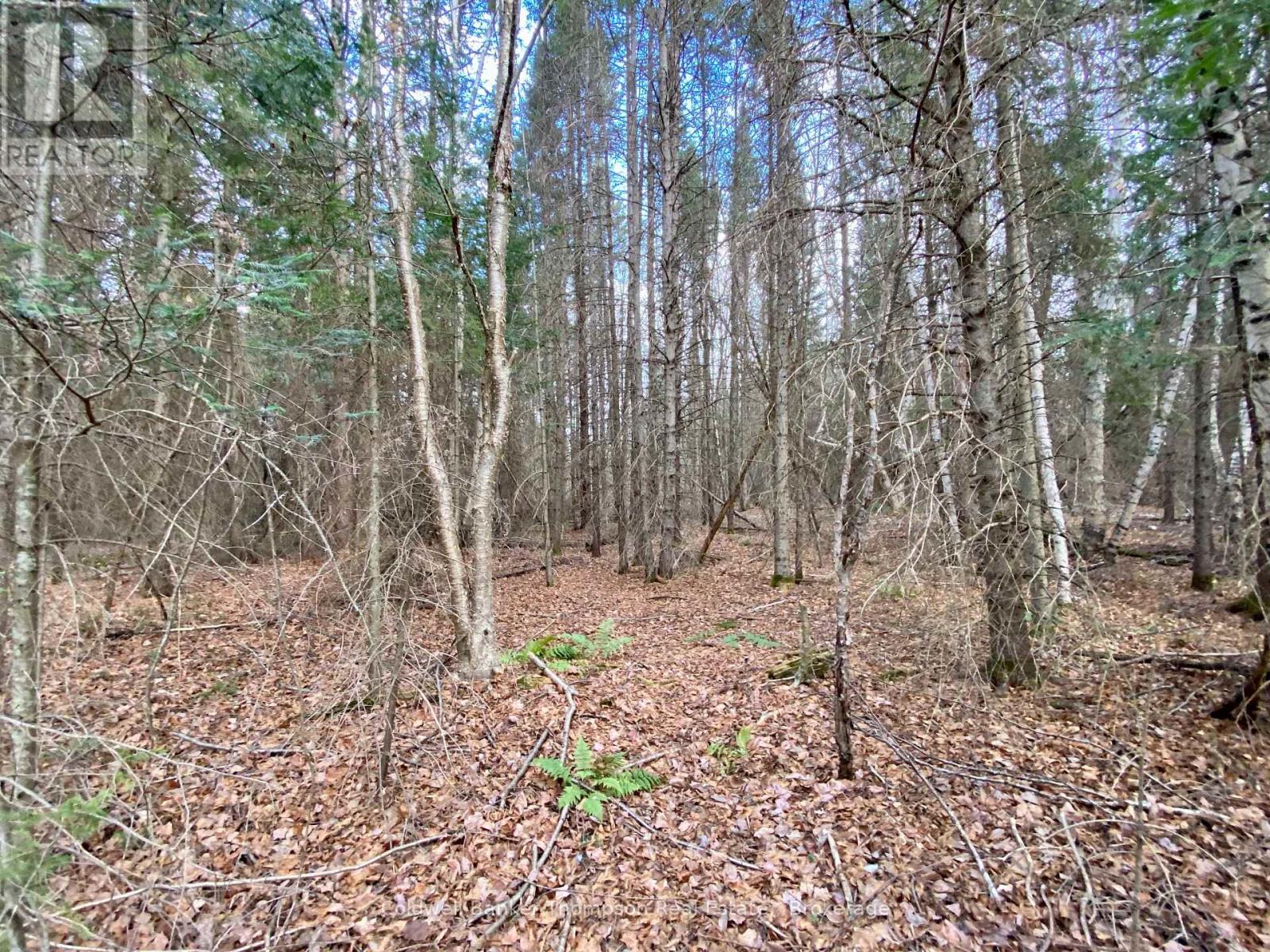 Lot 0-B Legrou's Lake Road, Parry Sound Remote Area, Ontario  P0H 1A0 - Photo 9 - X12481597