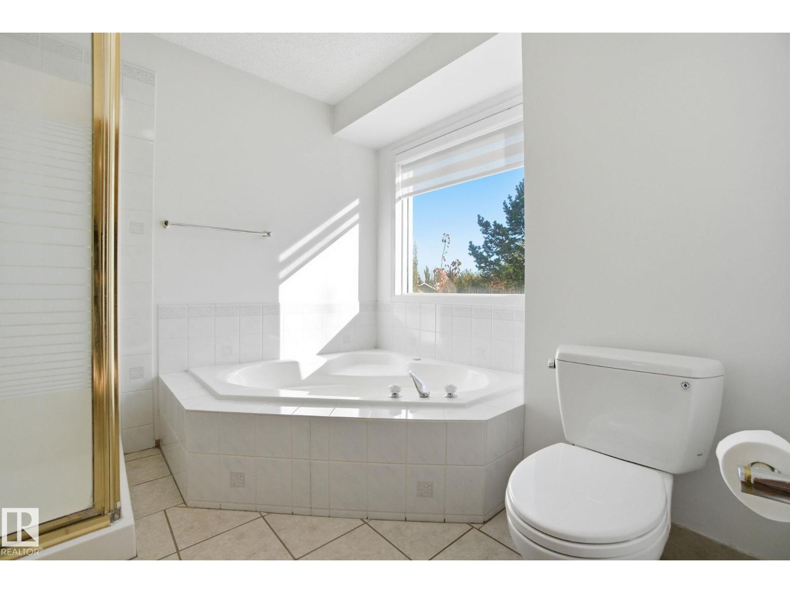 227 Peter Cl Nw, Edmonton, Alberta  T5T 5Y5 - Photo 35 - E4463484