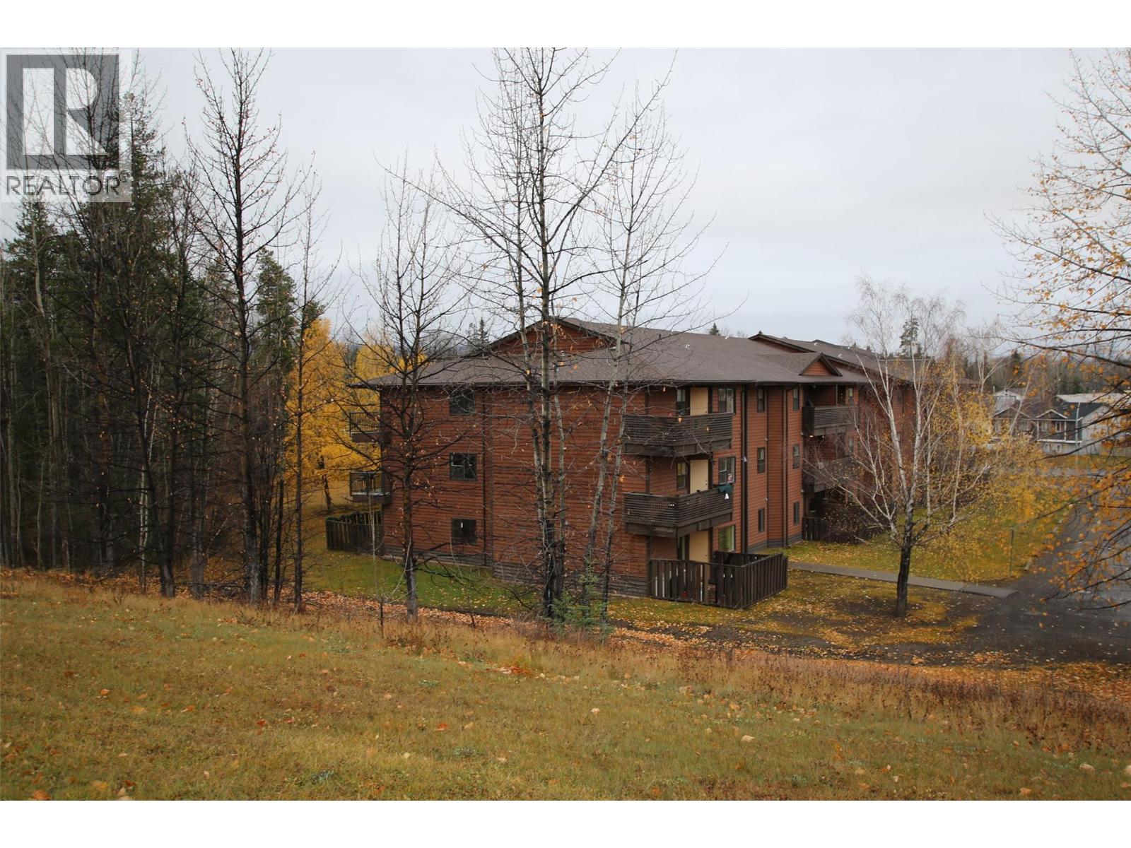 195 CHAMBERLAIN Crescent Unit# 206, tumbler ridge, British Columbia