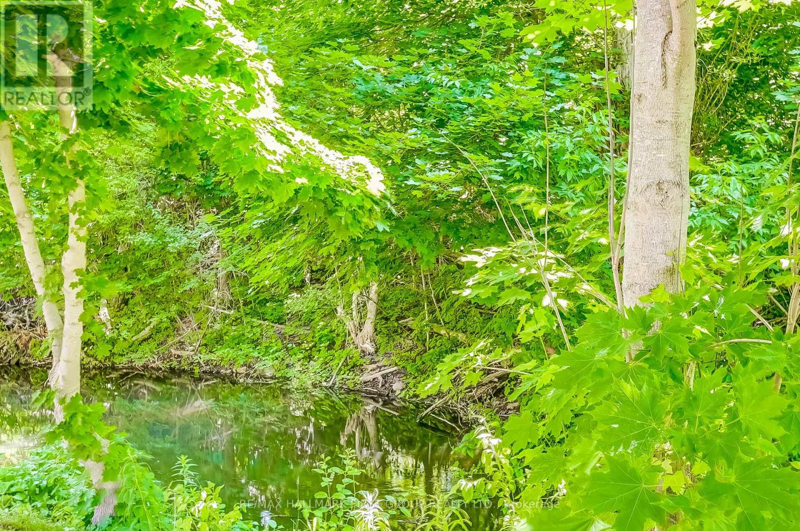 25 King Street E, Cavan Monaghan, Ontario  L0A 1G0 - Photo 14 - X12481770