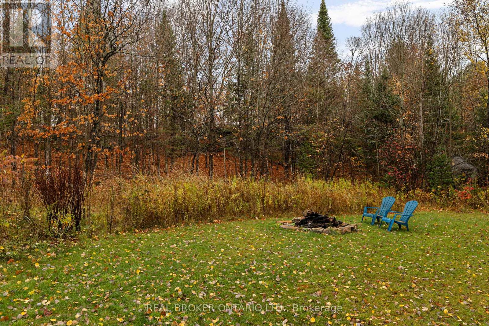 1402 Queens Line Road, Minden Hills, Ontario  K0M 2K0 - Photo 31 - X12481799