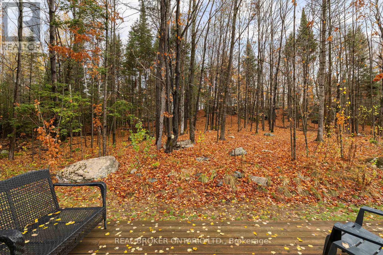1402 Queens Line Road, Minden Hills, Ontario  K0M 2K0 - Photo 35 - X12481799