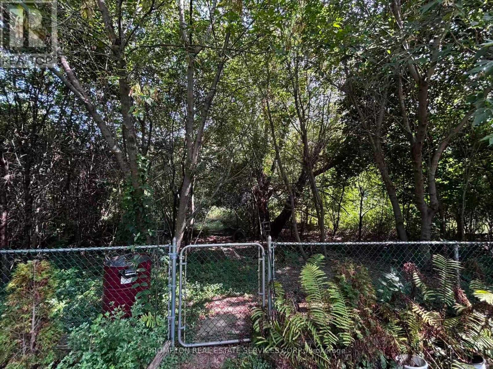 Lower Bsmt - 83 Garden Street, Whitby, Ontario  L1N 9E7 - Photo 12 - E12393253