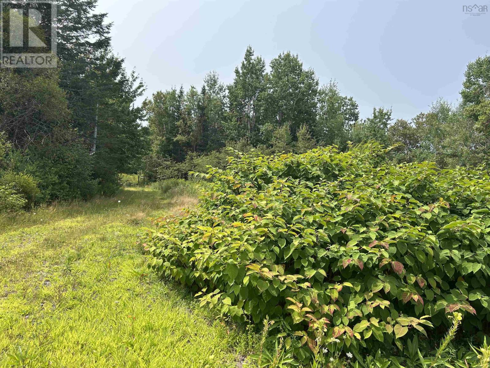 17 Hendsbee Road, Eight Island Lake, Nova Scotia  B0H 1M0 - Photo 4 - 202520163