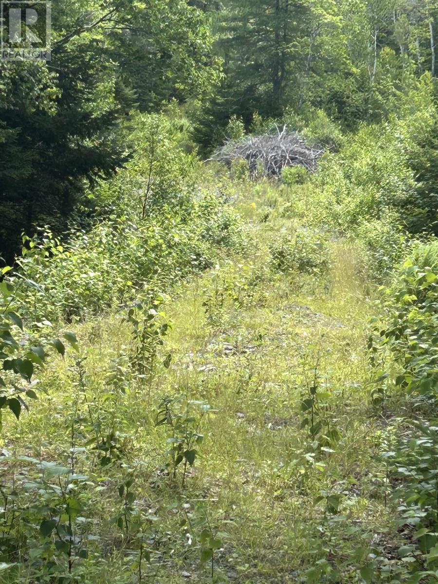 Lot 58 Riverside Drive, Goldenville, Nova Scotia  B0J 3S0 - Photo 18 - 202526073