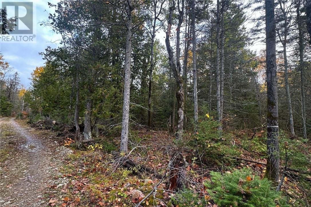 Pt Lt 16 Con 4 Green Bush Road, Little Current, Ontario  P0P 1K0 - Photo 1 - 2125361