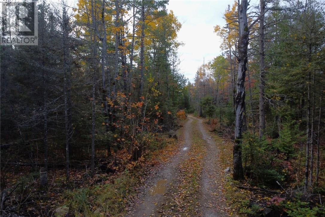 Pt Lt 16 Con 4 Green Bush Road, Little Current, Ontario  P0P 1K0 - Photo 10 - 2125361