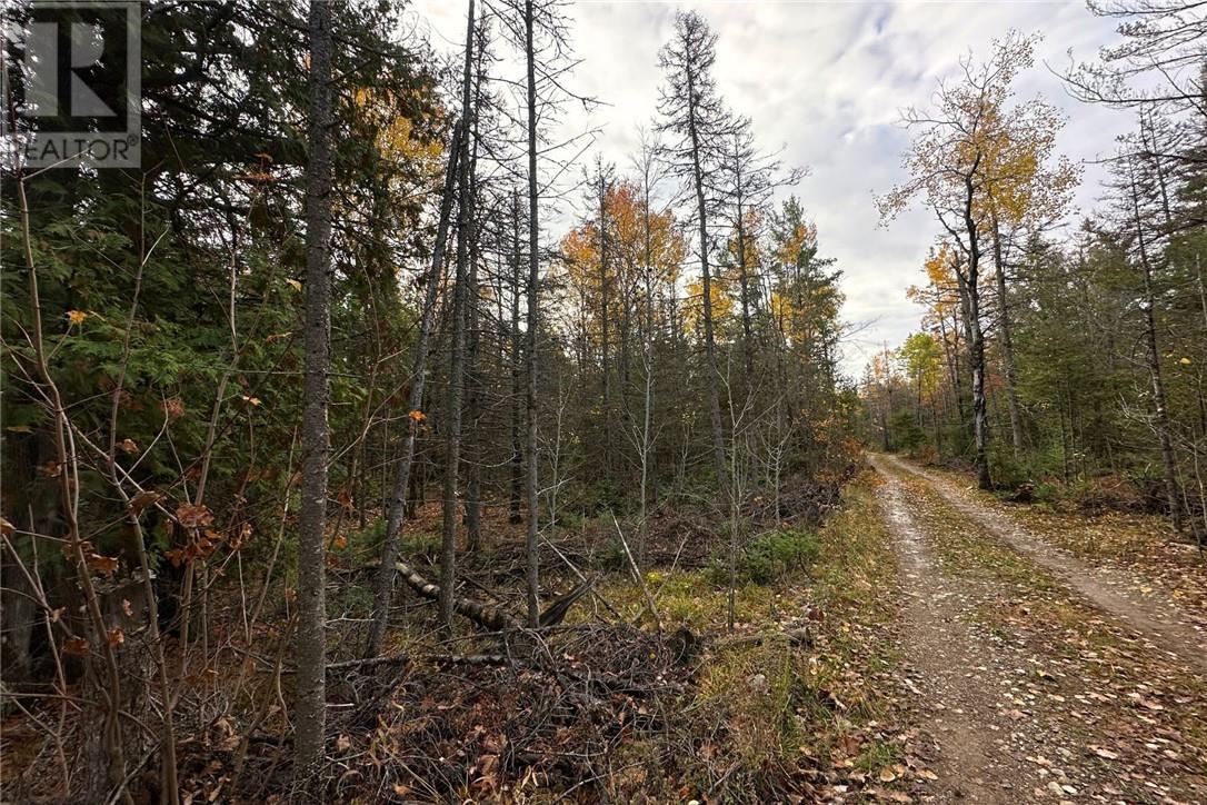 Pt Lt 16 Con 4 Green Bush Road, Little Current, Ontario  P0P 1K0 - Photo 11 - 2125361