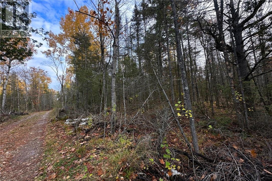 Pt Lt 16 Con 4 Green Bush Road, Little Current, Ontario  P0P 1K0 - Photo 12 - 2125361