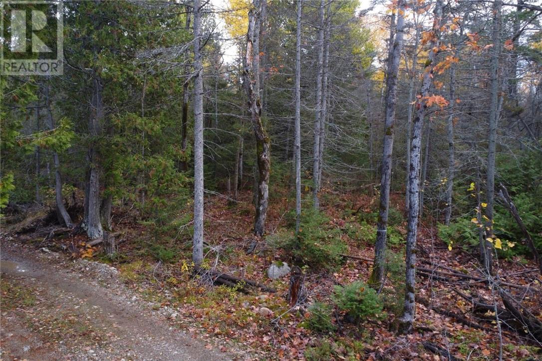 Pt Lt 16 Con 4 Green Bush Road, Little Current, Ontario  P0P 1K0 - Photo 2 - 2125361