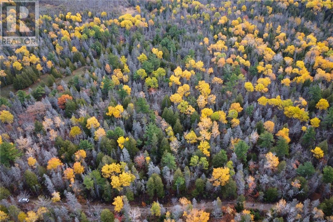 Pt Lt 16 Con 4 Green Bush Road, Little Current, Ontario  P0P 1K0 - Photo 3 - 2125361