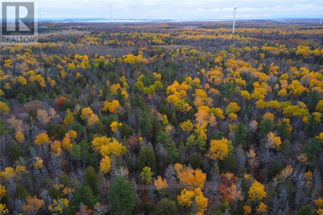 Pt Lt 16 Con 4 Green Bush Road, Little Current, Ontario  P0P 1K0 - Photo 4 - 2125361