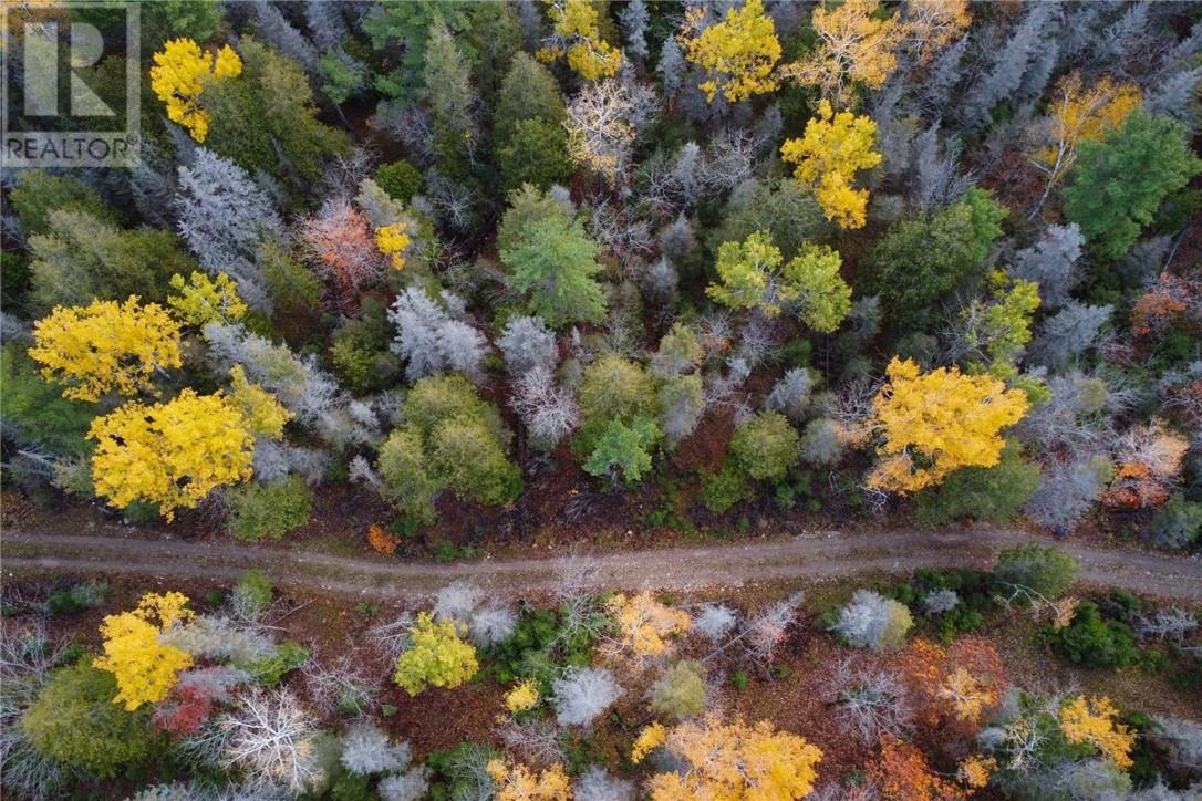 Pt Lt 16 Con 4 Green Bush Road, Little Current, Ontario  P0P 1K0 - Photo 5 - 2125361