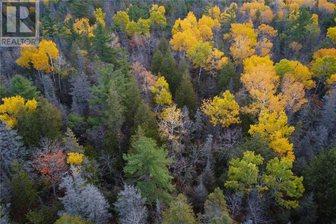 Pt Lt 16 Con 4 Green Bush Road, Little Current, Ontario  P0P 1K0 - Photo 6 - 2125361