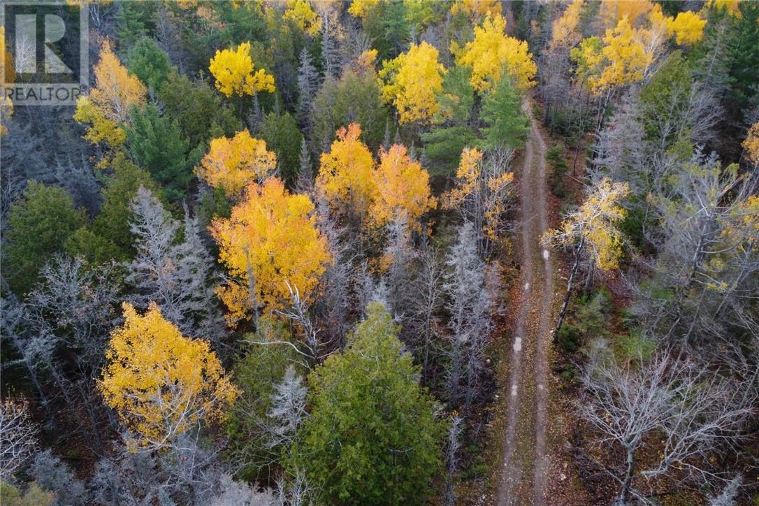 Pt Lt 16 Con 4 Green Bush Road, Little Current, Ontario  P0P 1K0 - Photo 8 - 2125361