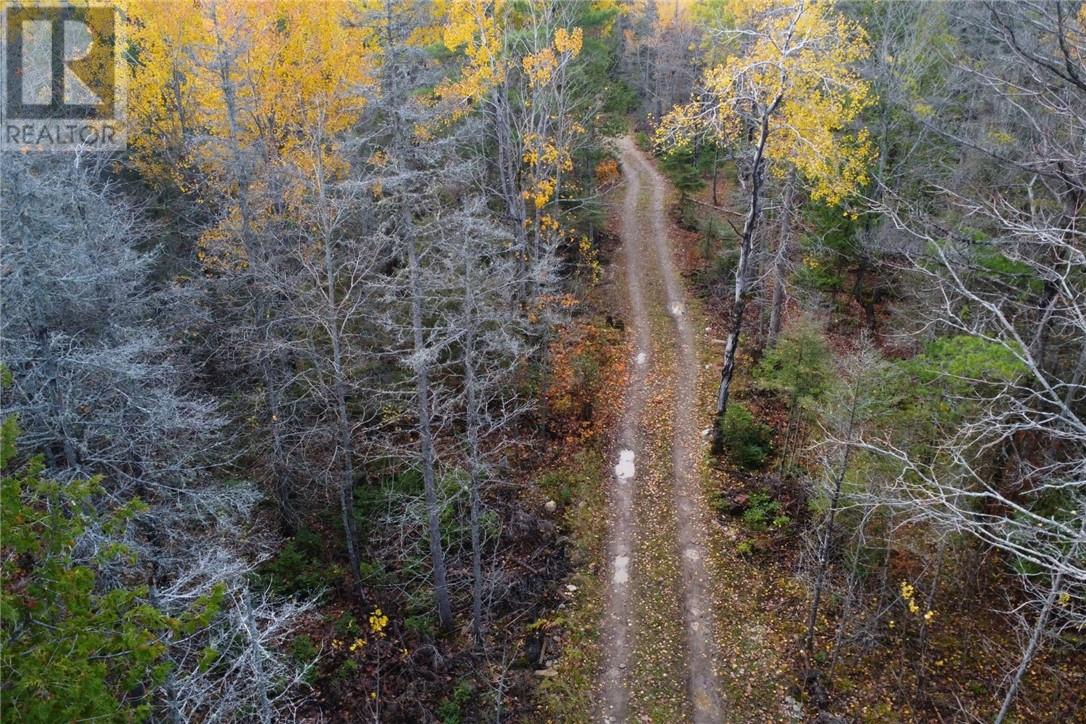 Pt Lt 16 Con 4 Green Bush Road, Little Current, Ontario  P0P 1K0 - Photo 9 - 2125361