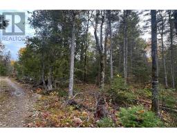 PT LT 16 Con 4 Green Bush Road, Little Current, Ontario