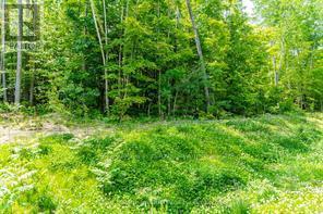Lot 41 Explorers Landing, Tiny, Ontario  L9M 0C1 - Photo 2 - S12481923