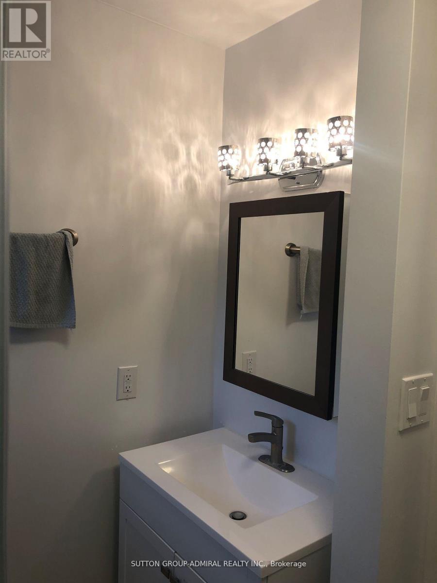 Lower - 31 Jeffrey Street, Barrie, Ontario  L4M 5H5 - Photo 11 - S12481919