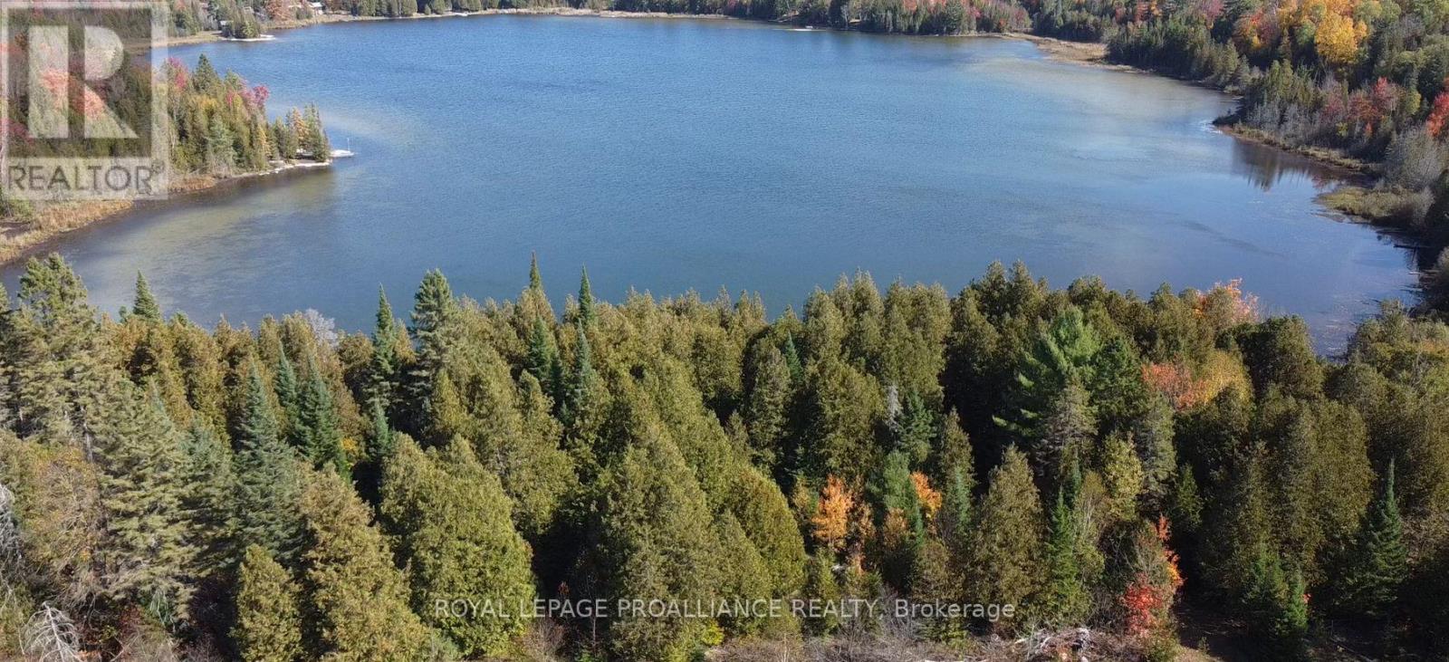 6107 Buckshot Lake Road, Frontenac (Frontenac North), Ontario  K0H 2M0 - Photo 12 - X12481943