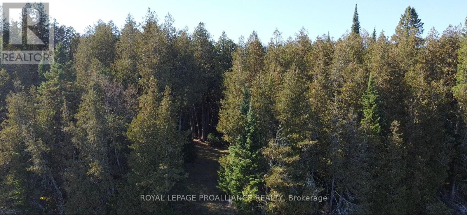 6107 Buckshot Lake Road, Frontenac (Frontenac North), Ontario  K0H 2M0 - Photo 5 - X12481943